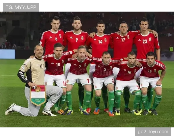 斯洛伐克超级联赛新赛季即将打响，各队状态回升蓄势待发