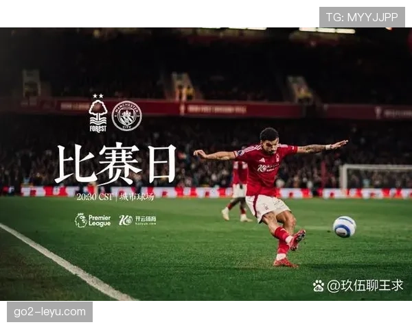 汉堡队反击效率飙升，状态回暖强势重返胜利轨道